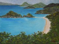 Spiaggia dei Caraibi  Olio su MDF - 30 x 40